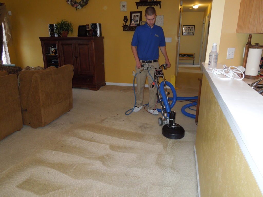 carpet cleaning