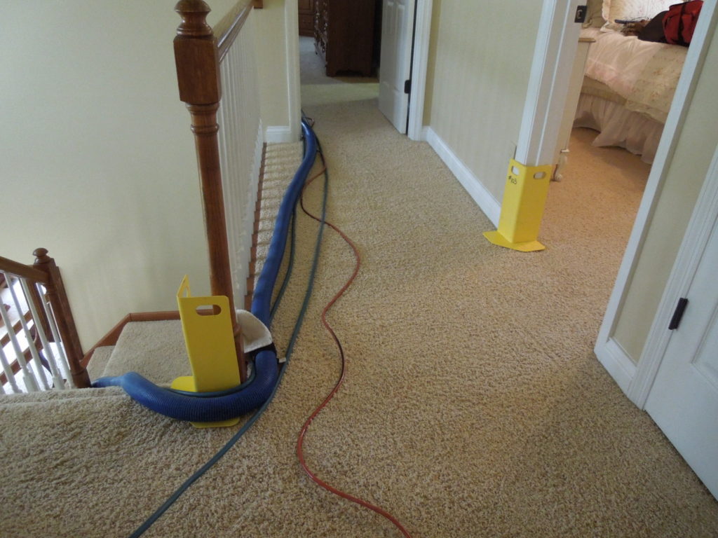 carpet cleaning