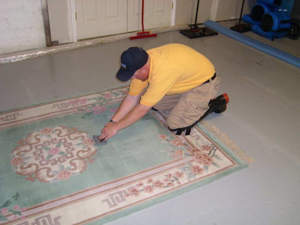 Frenchtown oriental rug cleaning