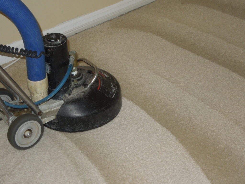 deep carpet cleaning rotary extraction