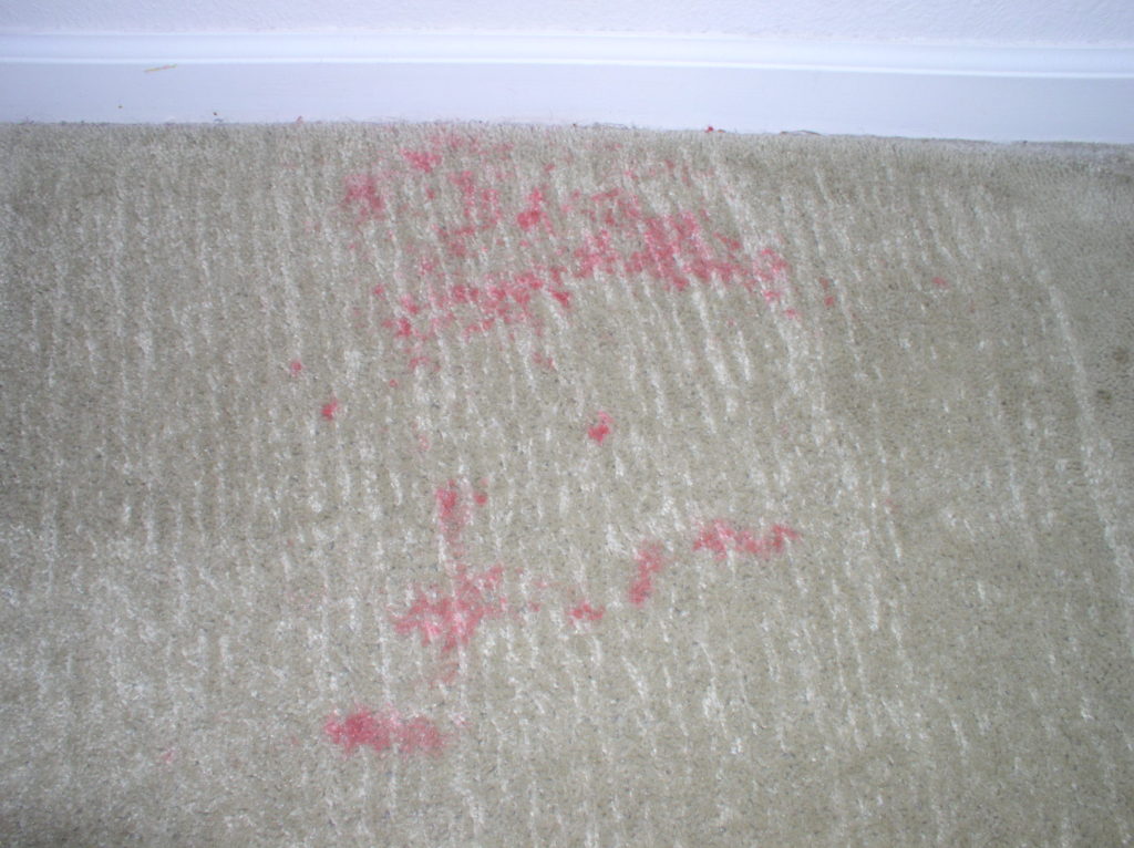 carpet stain before