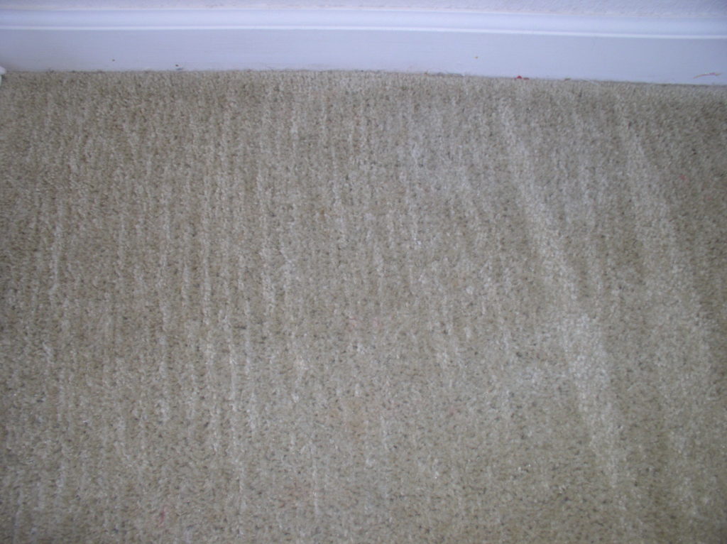 carpet stain removal after