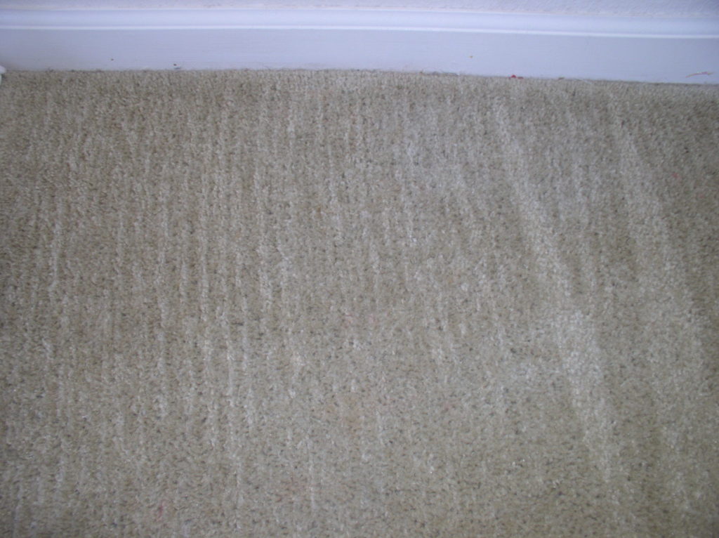 carpet stain removal