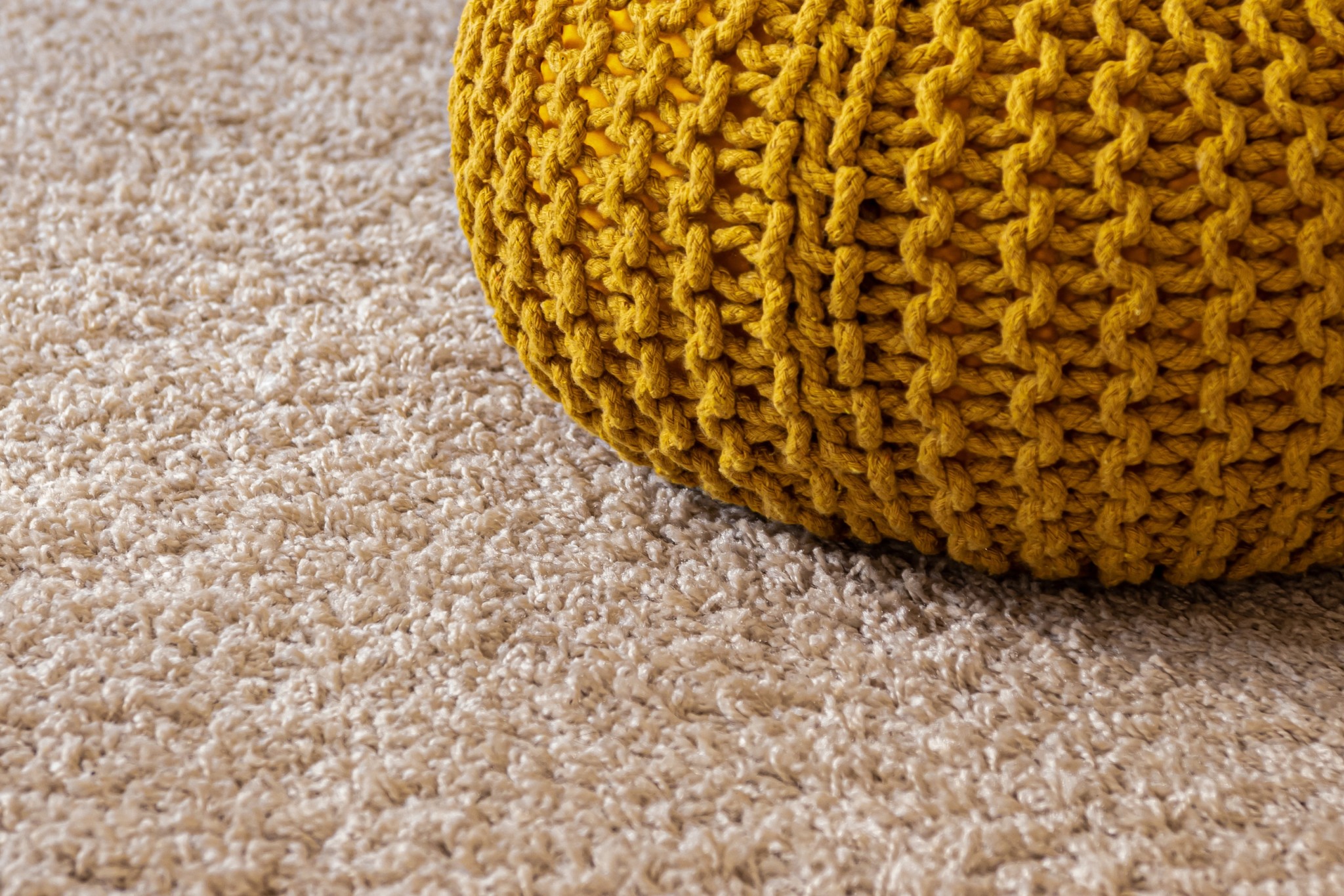 photo of carpet that has been taken care of to increase its longevity