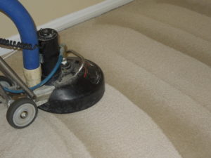 Environmentally friendly carpet cleaning process