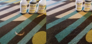 How to Get Bleach Stains Out of Carpet: A Case Study