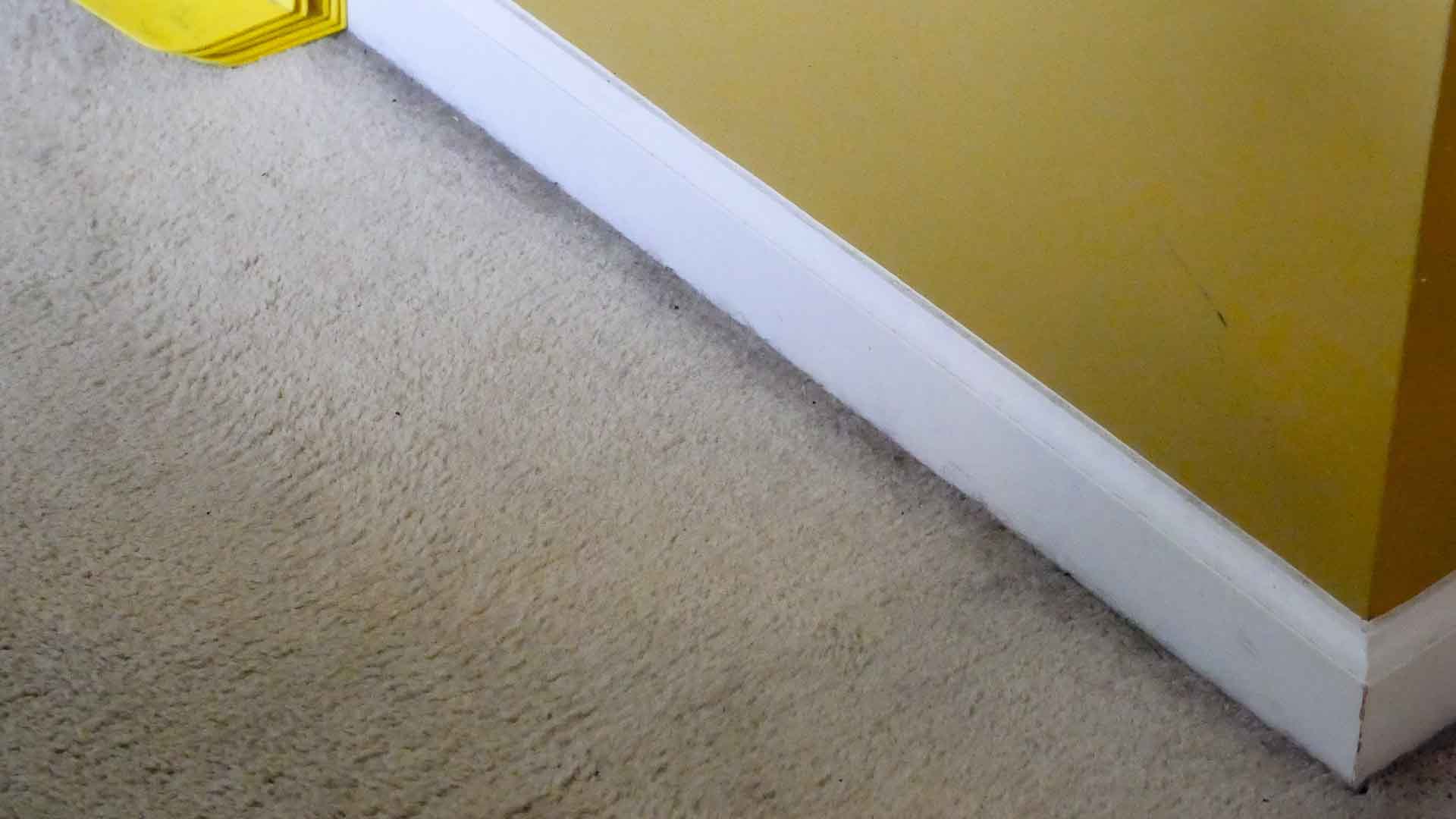 Dark Lines Along Your Carpet