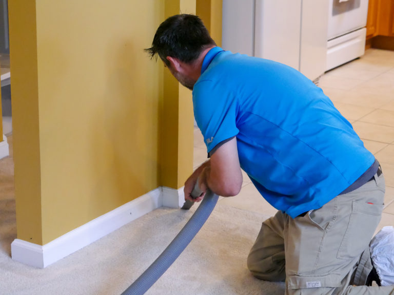 Carpet Dirty Around Edges How to Clean Sams Carpet Cleaning