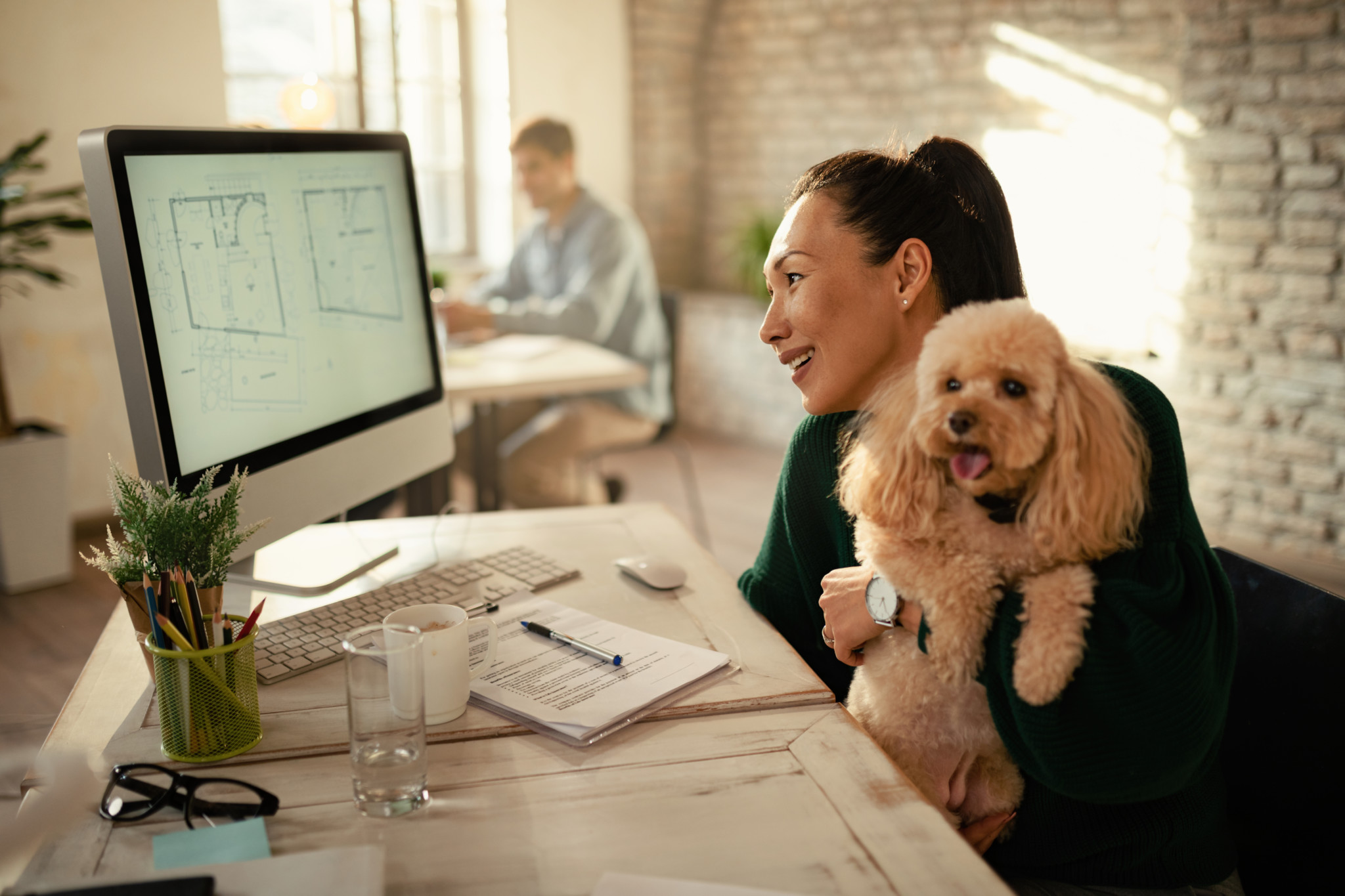 Pet friendly workplaces