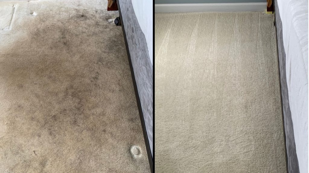 Before and after photos of carpet damaged with pet hair and oils