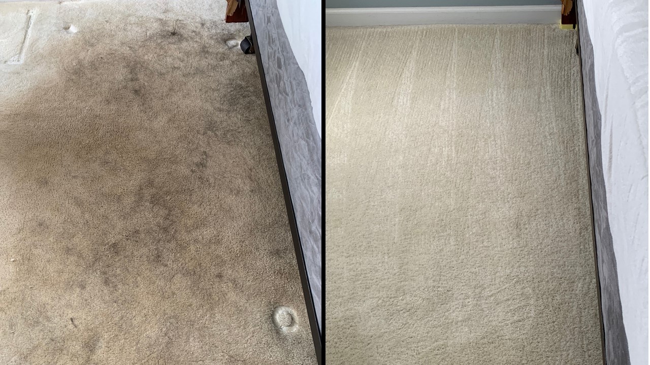 Carpet patch - dog chewed a hole in the carpet