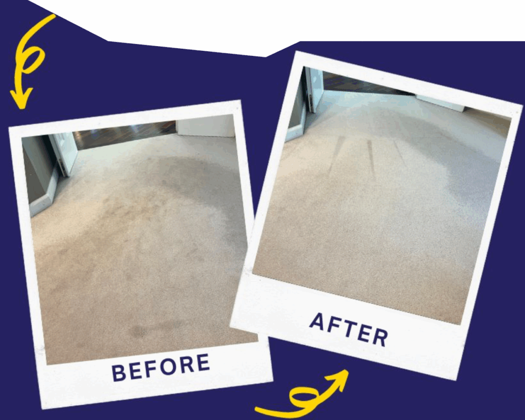 Before and After Carpet Cleaning Images