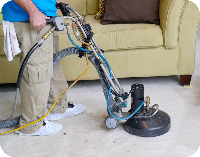 Carpet Cleaning