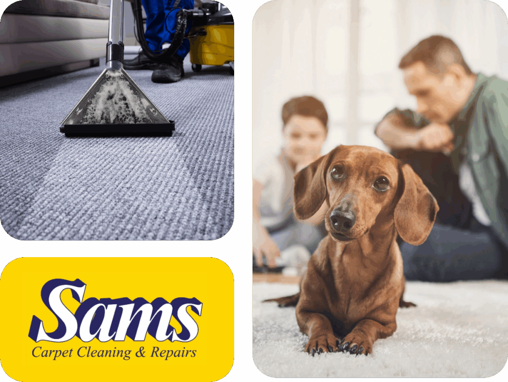 Sams Carpet Cleaning Images