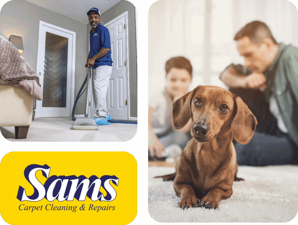 Sama Carpet Cleaning Image Collage with Dog