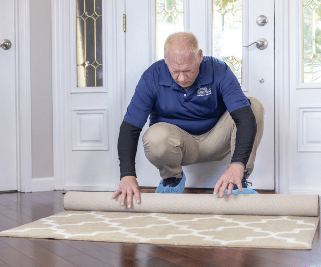 Area & Oriental Rug Cleaning