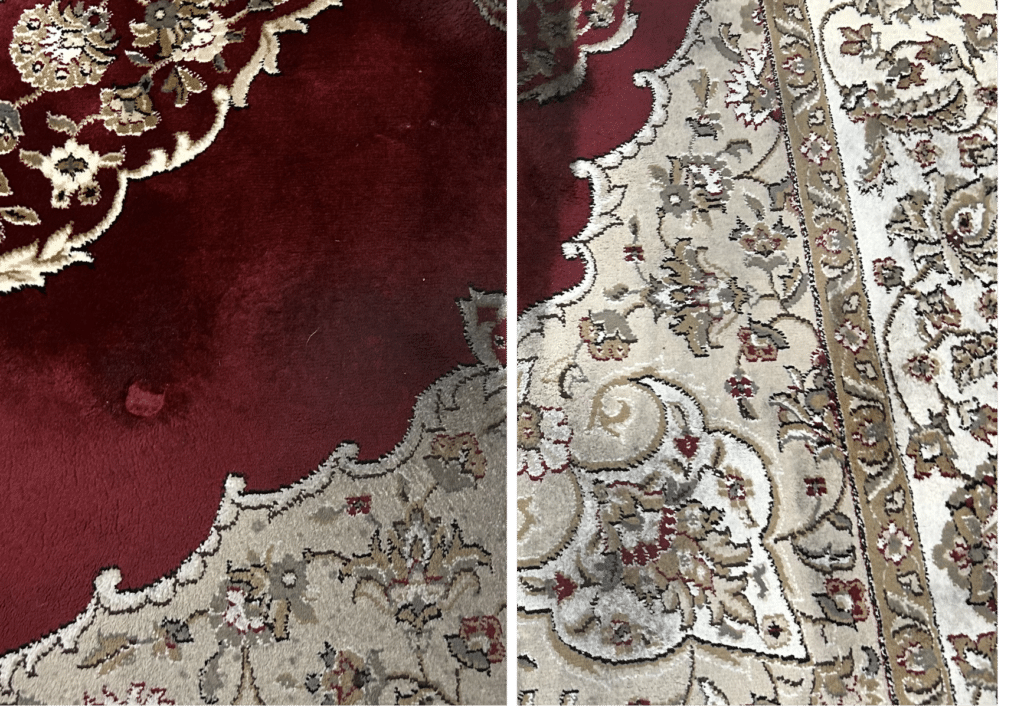 Area Rug Cleaning Before & After