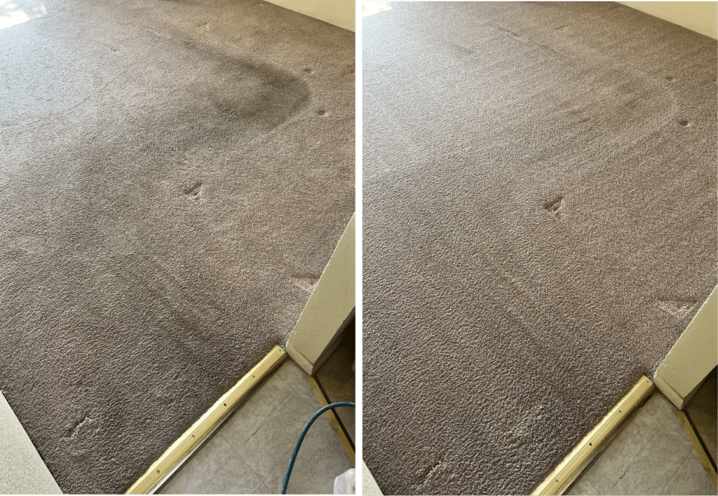 Carpet Cleaning Before & After