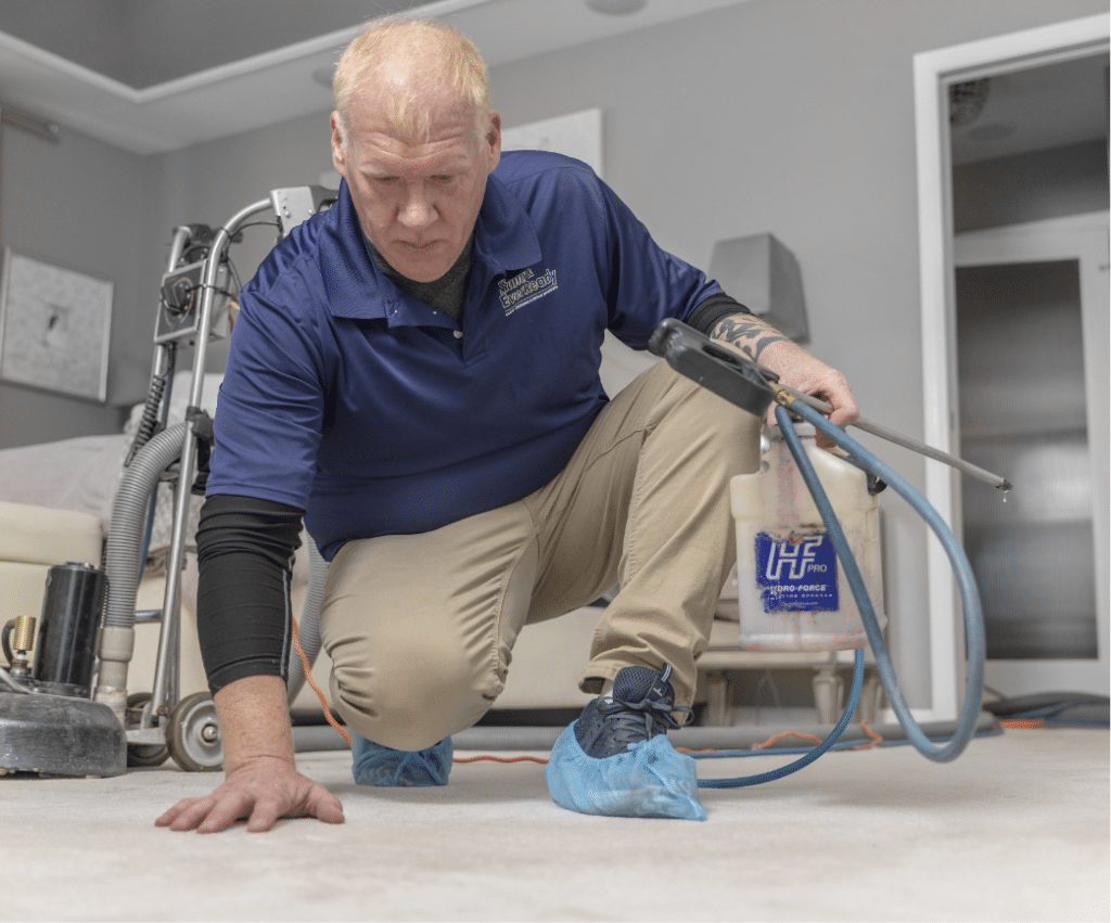 Carpet, Rug & Fabric Protection
