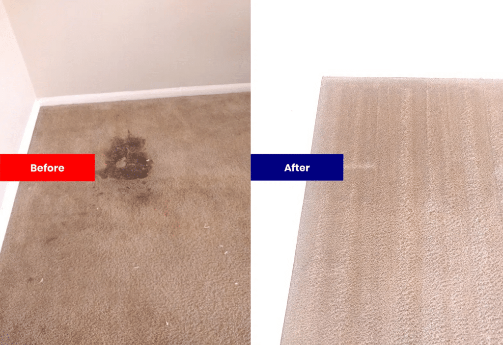 Carpet Stain Removal Before & After