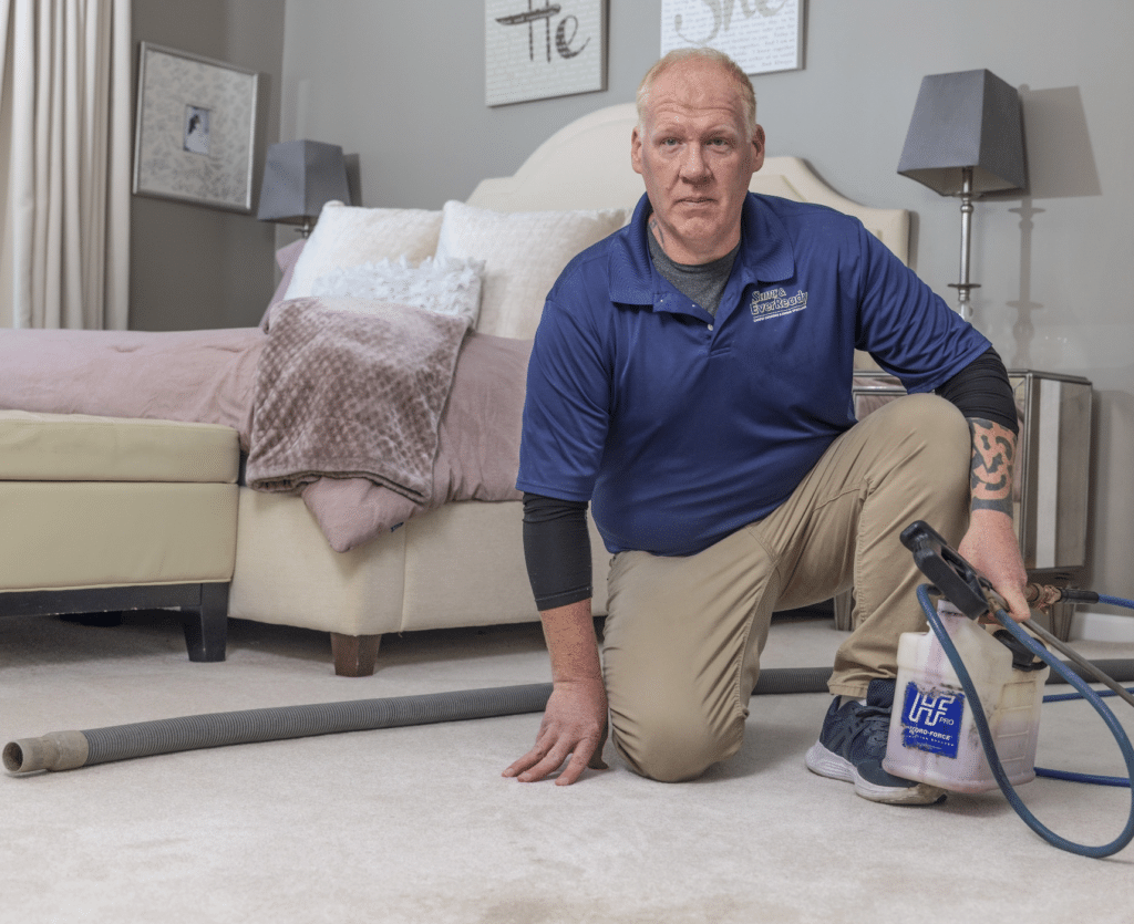 Pet Carpet Damage Repair