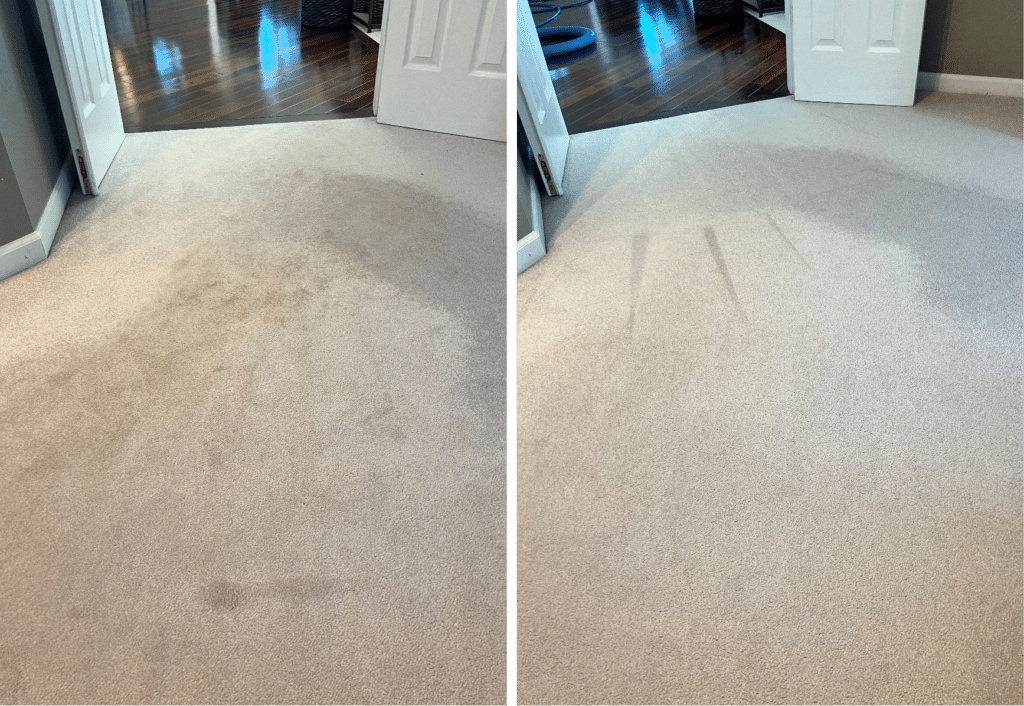 Pet Stain Removal Before & After