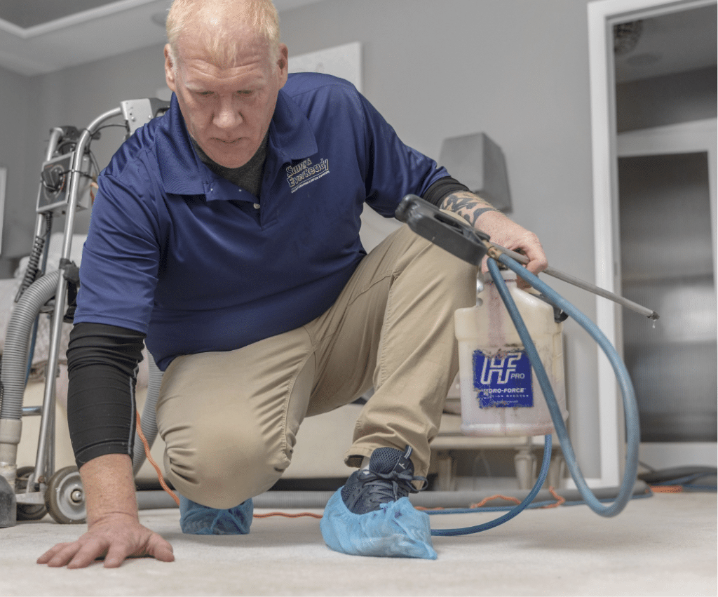 Sams Carpet Spot Removal