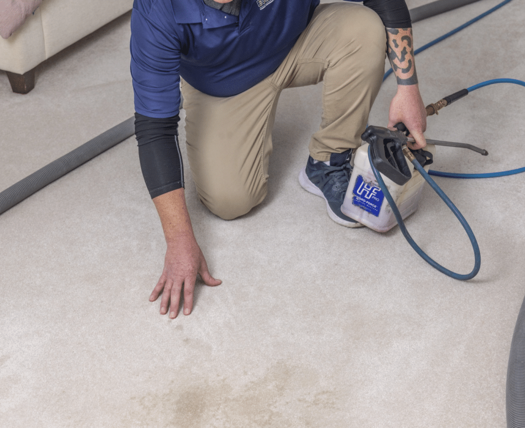 Spot & Stain Removal on carpet