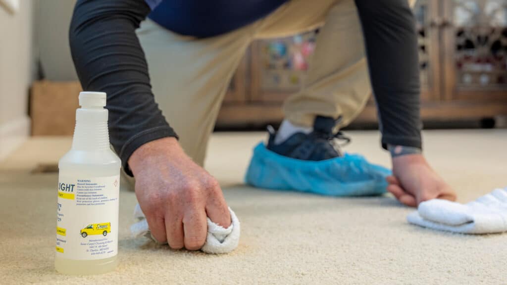 Carpet Stain Removal Tips